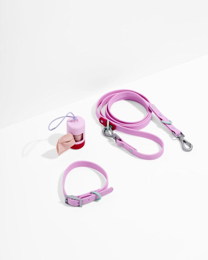Waterproof Collar + Waterproof Leash Walk Kit
