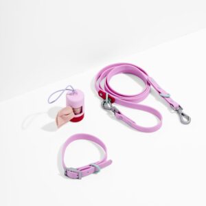 Waterproof Collar + Waterproof Leash Walk Kit - Image 2