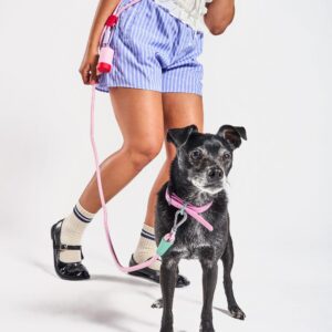Hands-Free Rope Dog Leash - Image 6