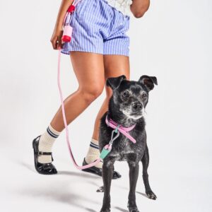 Waterproof Collar + Hands-Free Rope Leash Walk Kit - Image 2
