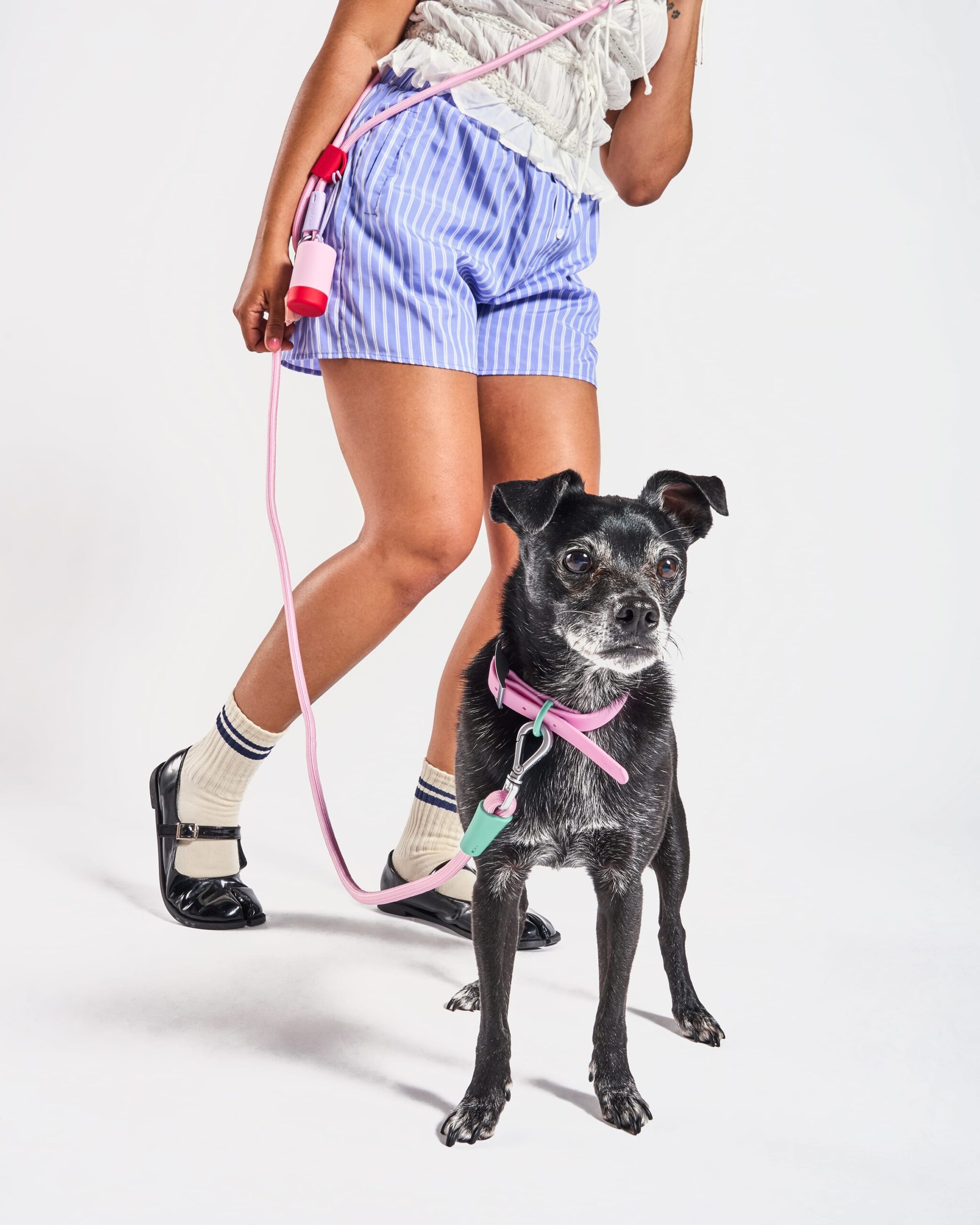 Waterproof Collar + Hands-Free Rope Leash Walk Kit - Image 2