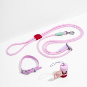 Waterproof Collar + Hands-Free Rope Leash Walk Kit - Image 1