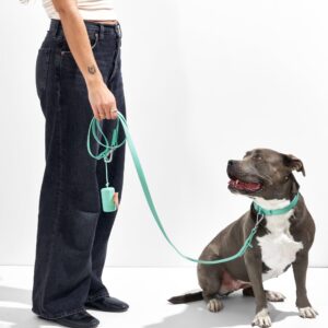Waterproof Dog Leash - Image 8
