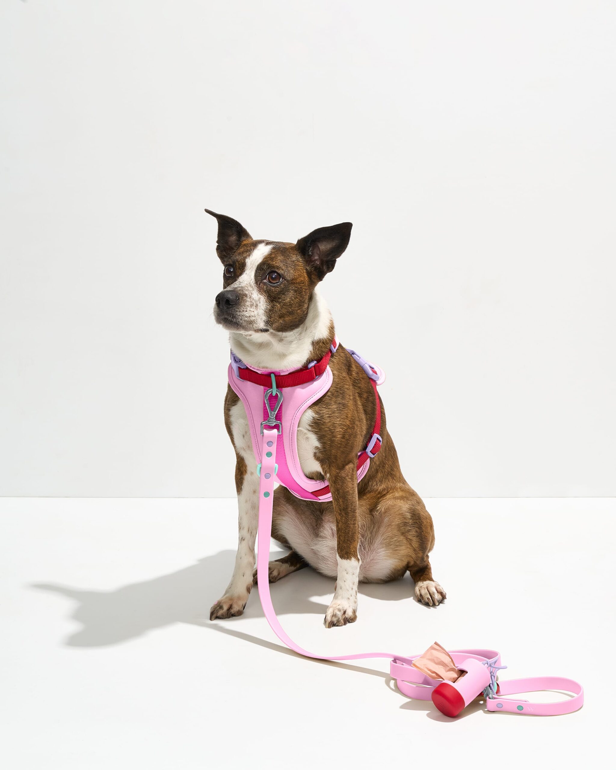 Cushioned Harness + Waterproof Leash Walk Kit - Image 1