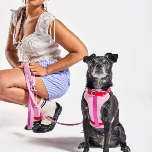 Cushioned Dog Harness - Image 4