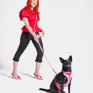 Cushioned Harness + Hands-Free Rope Leash Walk Kit - Image 3