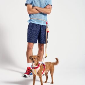 Hands-Free Rope Dog Leash - Image 4