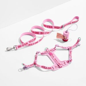 Step-In Harness + Lightweight Leash Walk Kit - Image 1