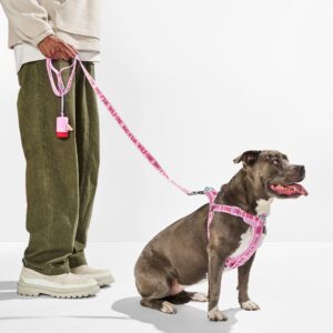 Step-In Harness + Lightweight Leash Walk Kit - Image 2