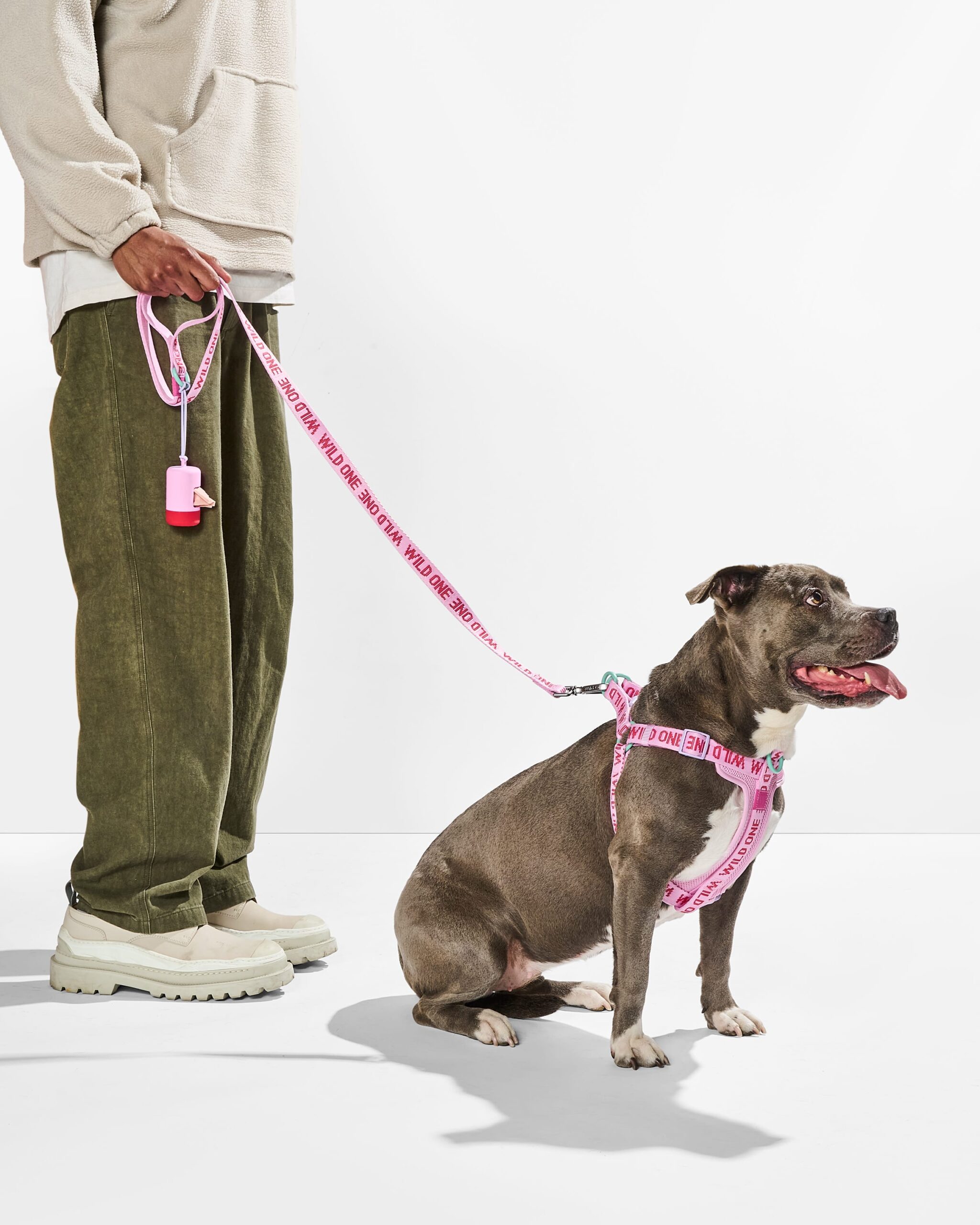 Step-In Harness + Lightweight Leash Walk Kit - Image 2