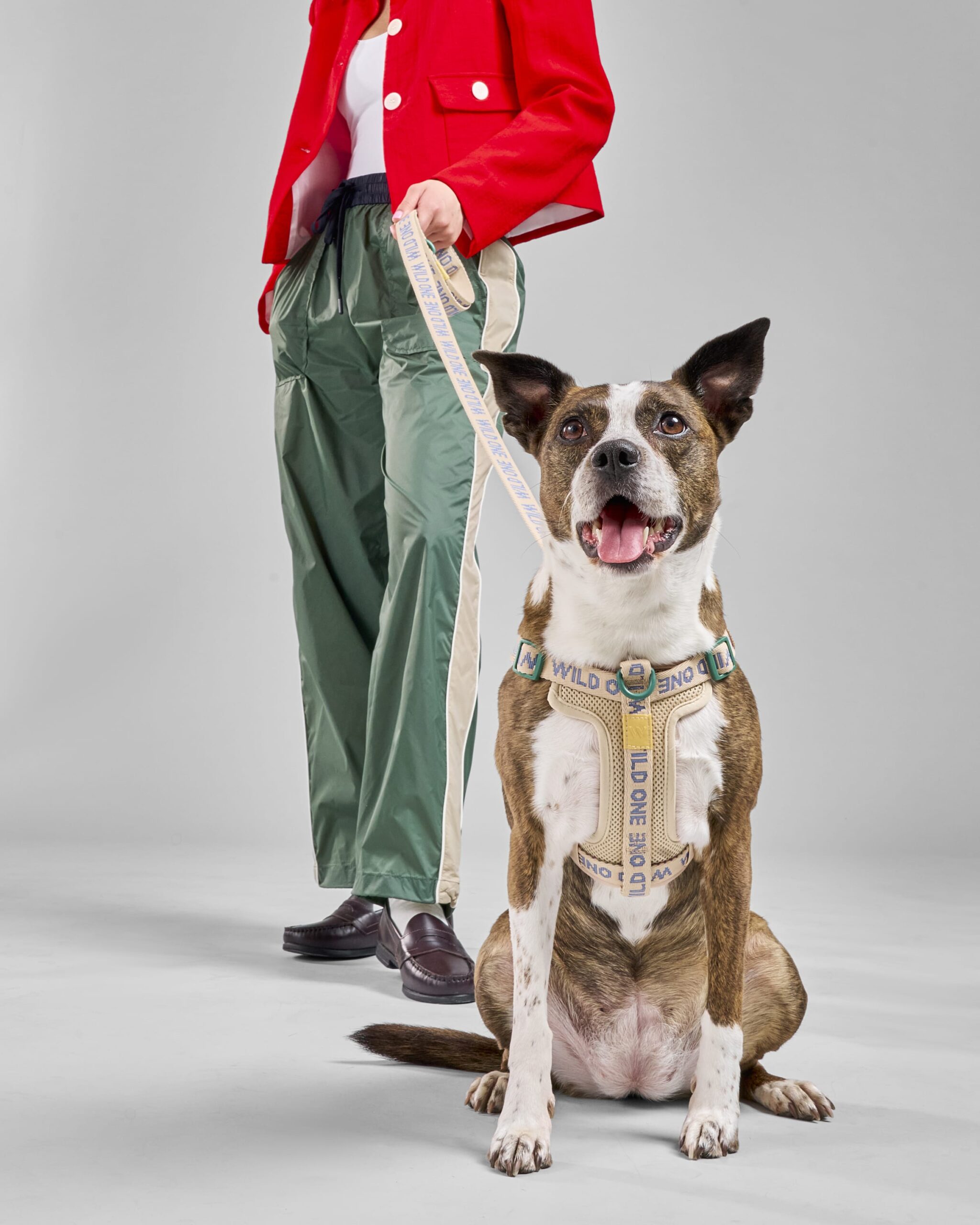 Step-In Dog Harness - Image 8