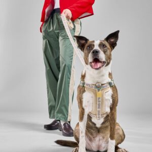Lightweight Dog Leash - Image 5