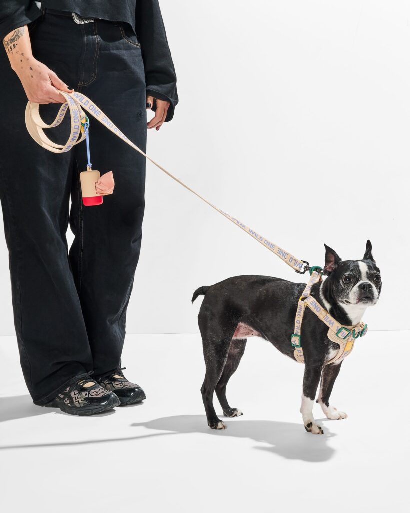 Lightweight Dog Leash