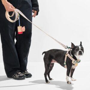 Step-In Harness + Lightweight Leash Walk Kit - Image 6