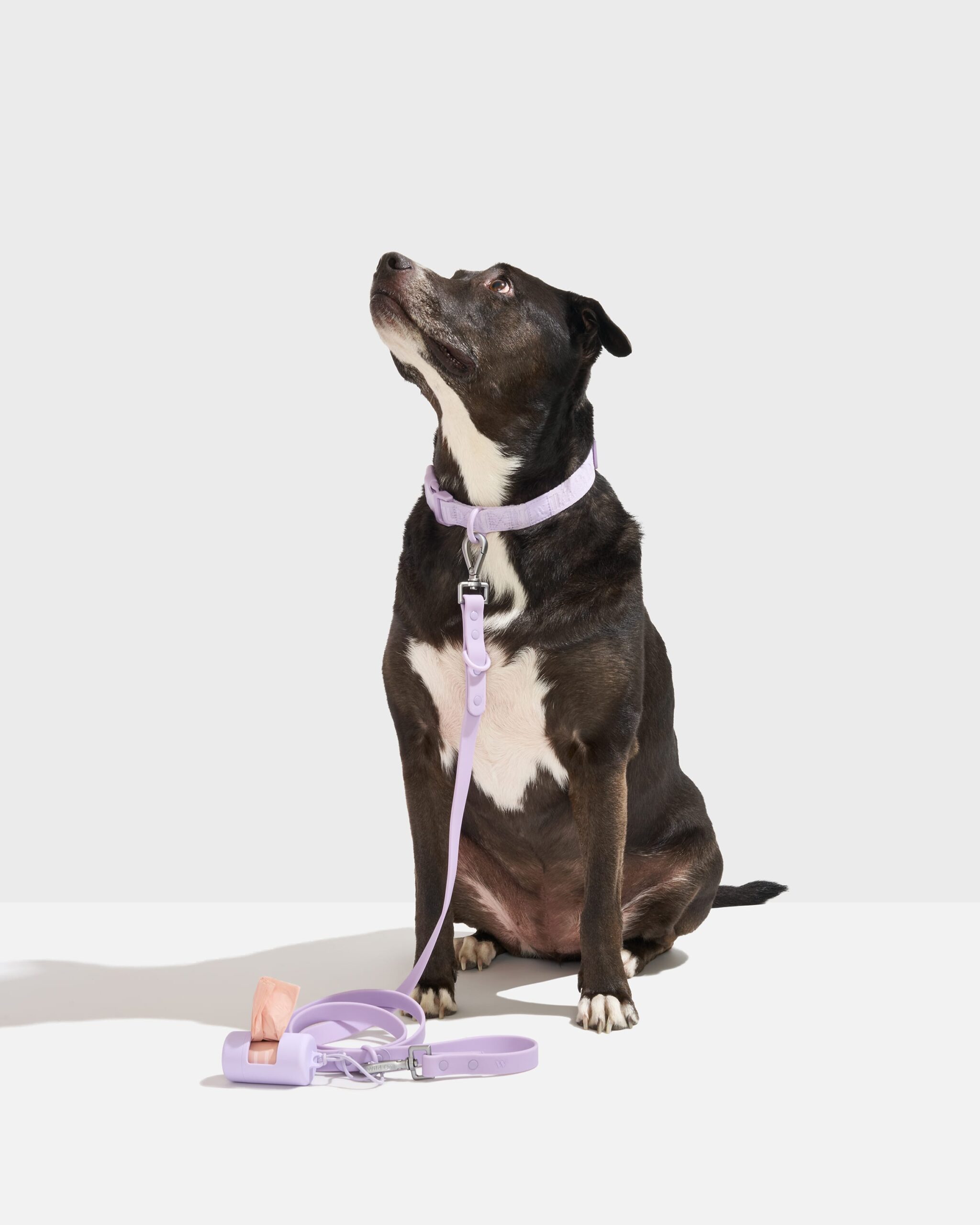 Quick-Release Collar + Waterproof Leash Walk Kit - Image 1