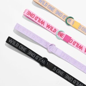 Quick-Release Collar + Lightweight Leash Walk Kit - Image 6