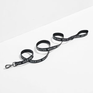 Cushioned Harness + Lightweight Leash Walk Kit - Image 5