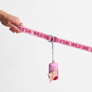 Waterproof Collar + Lightweight Leash Walk Kit - Image 5