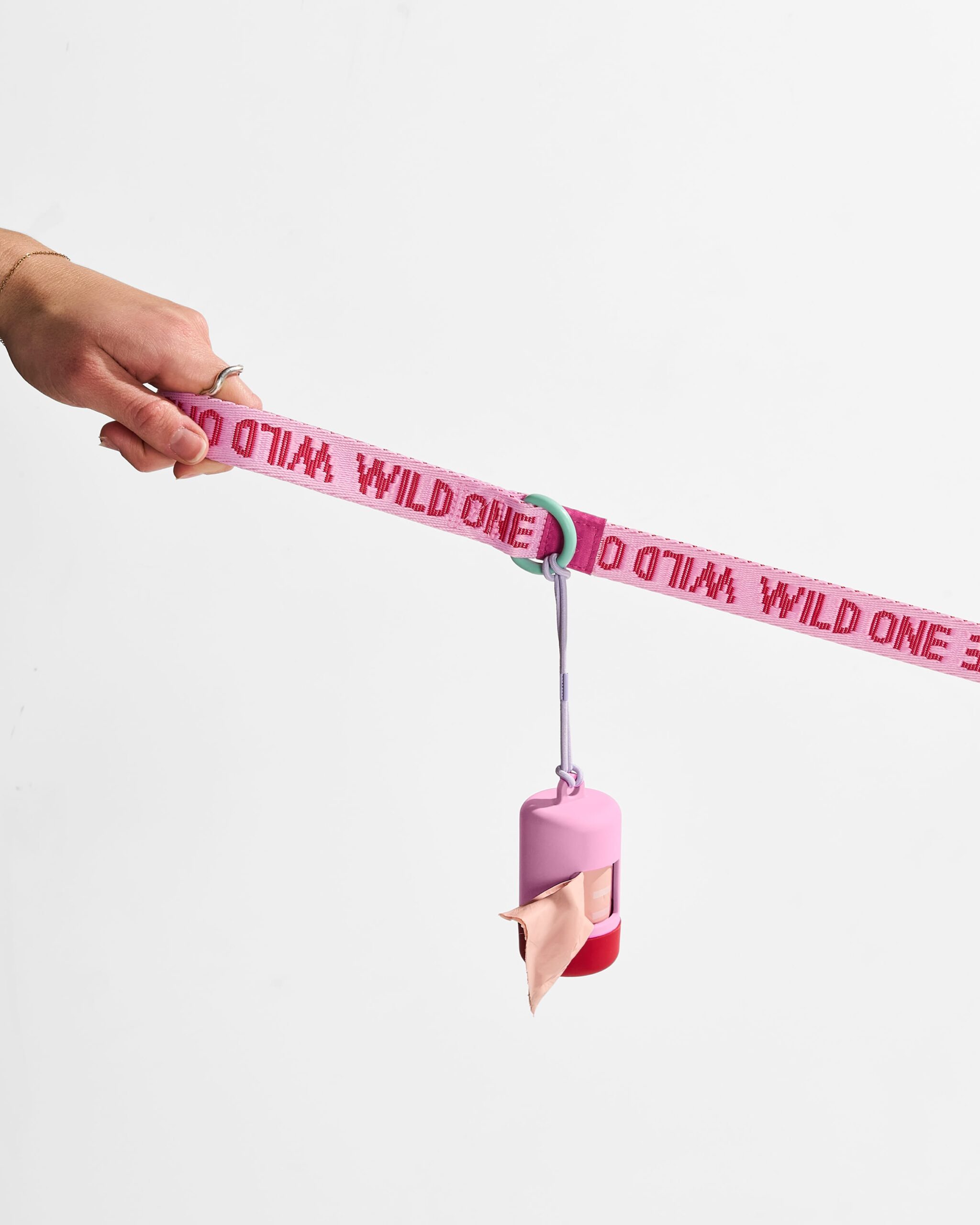 Quick-Release Collar + Lightweight Leash Walk Kit - Image 5