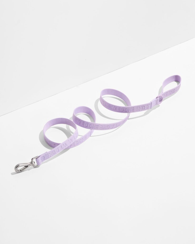 Quick-Release Collar + Lightweight Leash Walk Kit