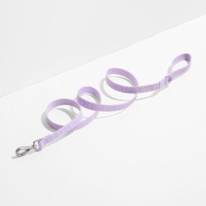 Quick-Release Collar + Lightweight Leash Walk Kit - Image 3