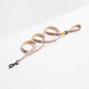 Lightweight Dog Leash - Image 3