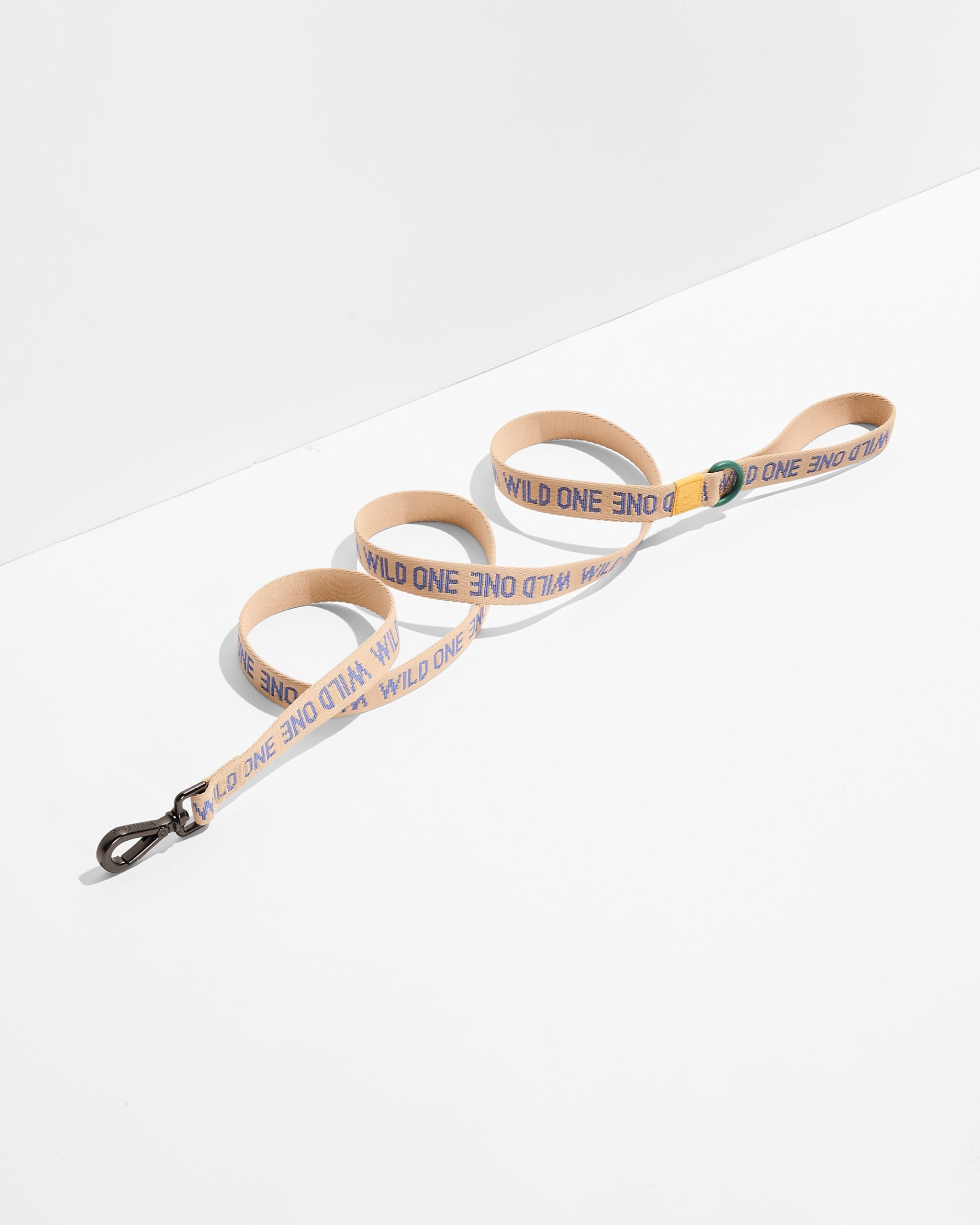 Lightweight Dog Leash - Image 3