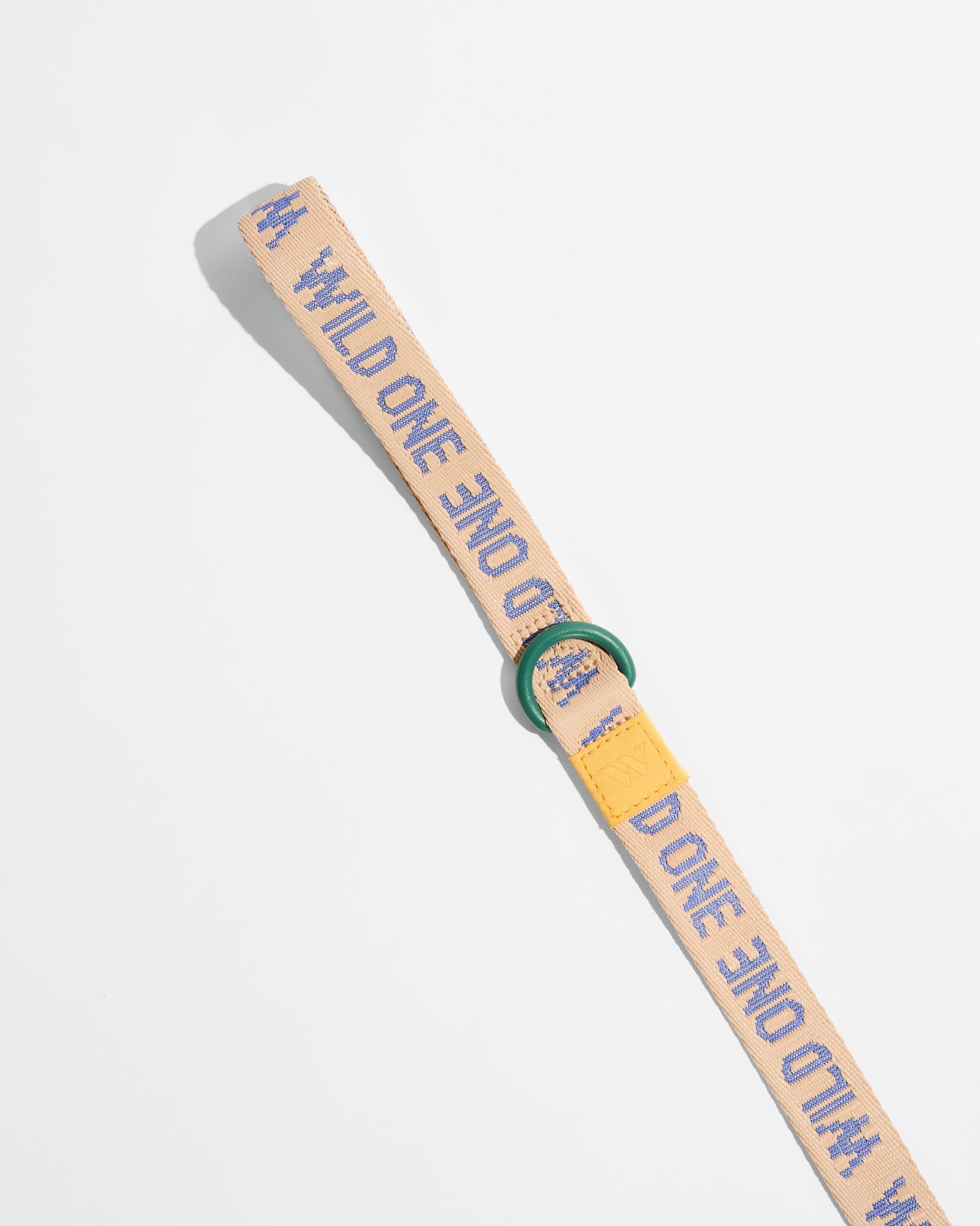 Lightweight Dog Leash - Image 6