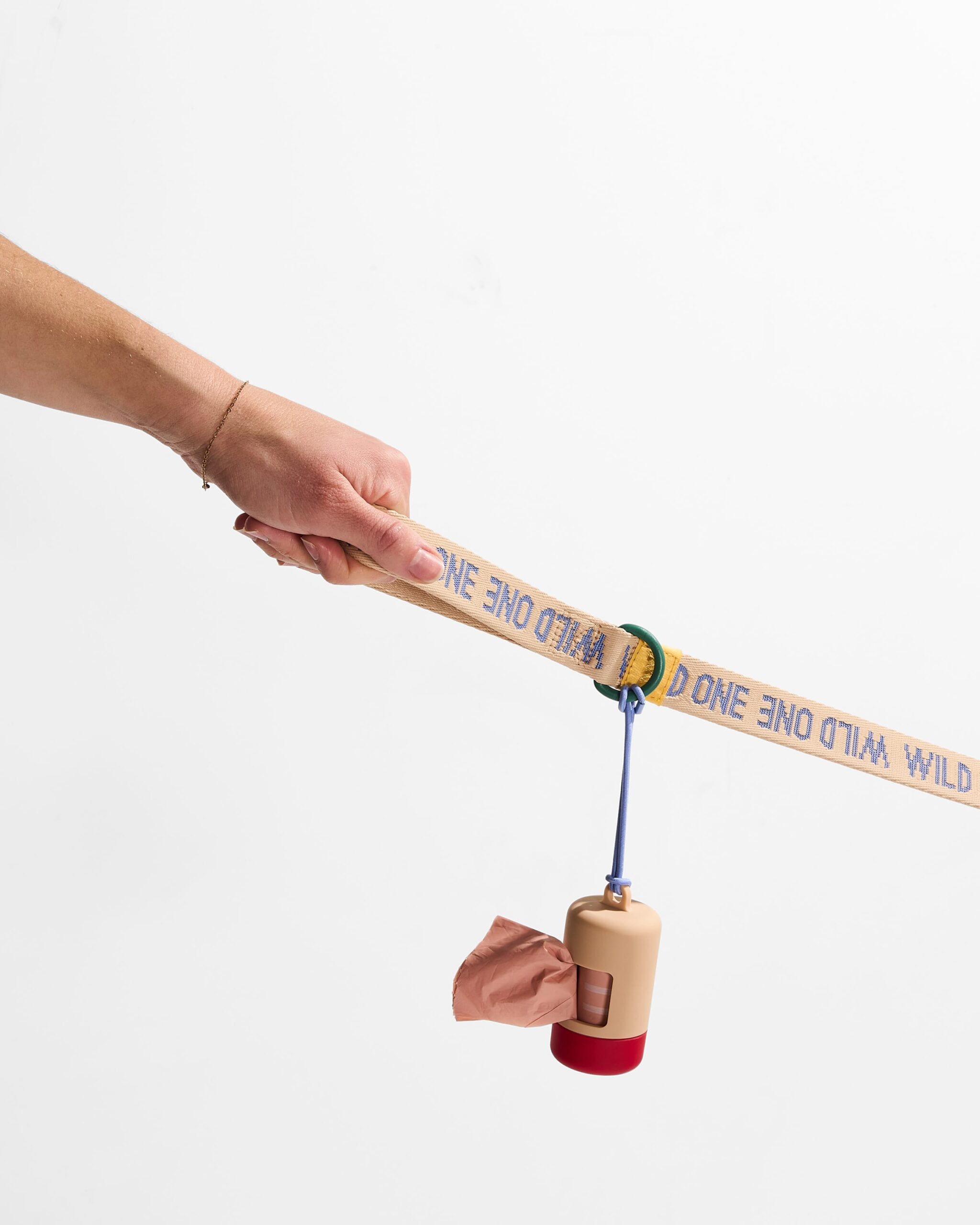 Lightweight Dog Leash - Image 4