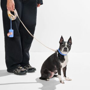 Waterproof Collar + Lightweight Leash Walk Kit - Image 4