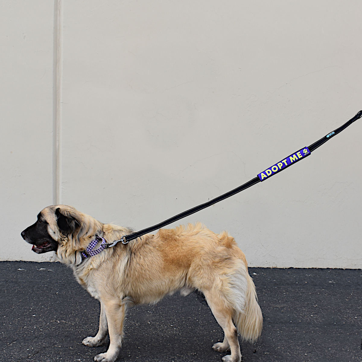Leash Sleeves - Image 4