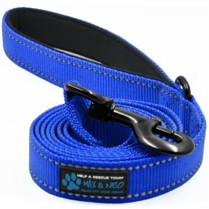 4 FT x 1" Wide Nylon Reflective Dog Leash - Image 5