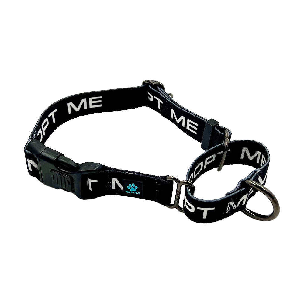 25 Pack - Mixed Color & Single Size ADOPT ME Nylon Martingale Collars