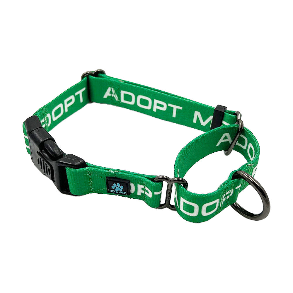 25 Pack - Mixed Color & Single Size ADOPT ME Nylon Martingale Collars