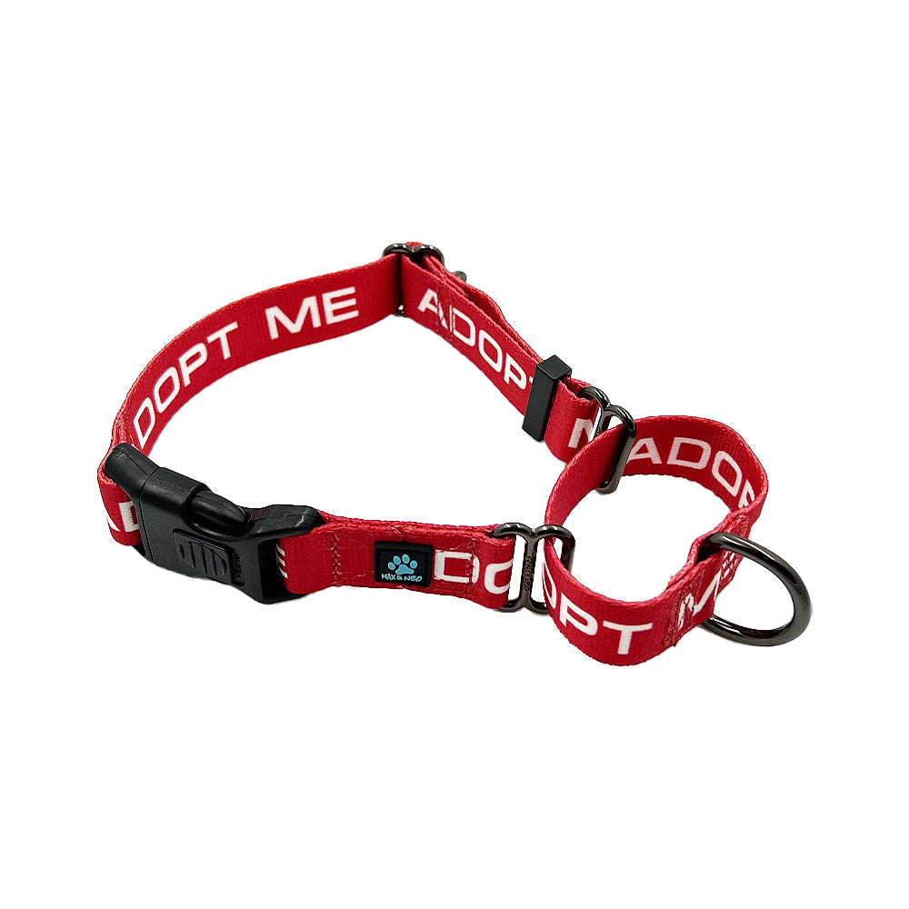 25 Pack - Mixed Color & Single Size ADOPT ME Nylon Martingale Collars