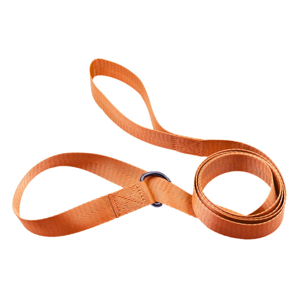 Bulk Pack - Mixed Color - 6 FT Nylon Flat Slip Lead