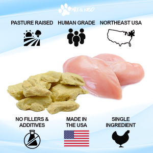 Freeze Dried Chicken Breast Dog Treats - Image 3