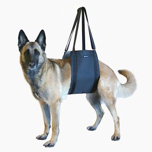 Lift Support and Rehab Harness - Image 1