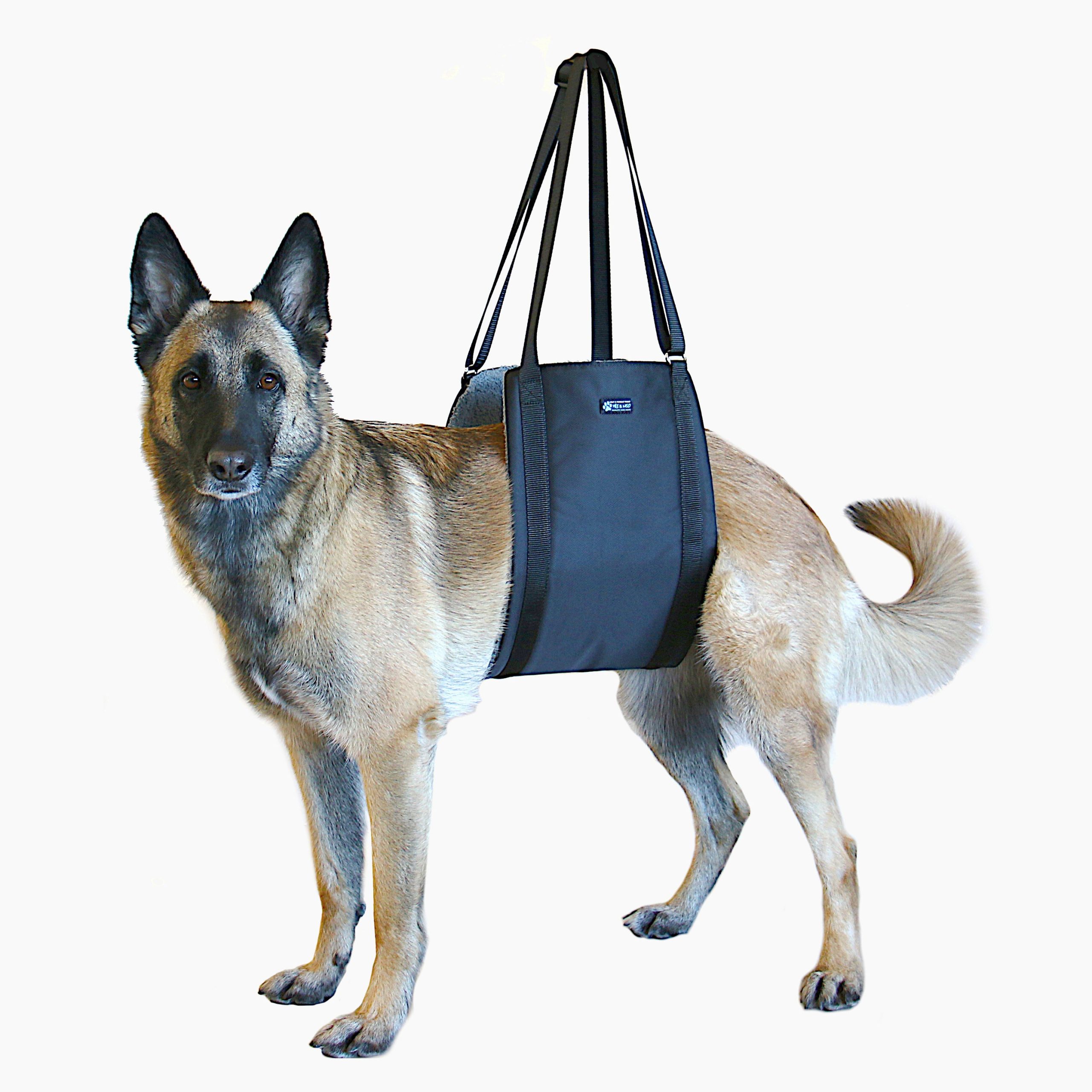 Lift Support and Rehab Harness - Image 1