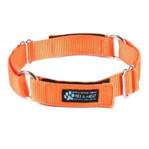 Day Care Velcro Play Collars (6 Pack) - Image 6