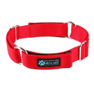 Day Care Velcro Play Collars (6 Pack) - Image 8