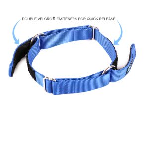 Day Care Velcro Play Collars (6 Pack) - Image 2