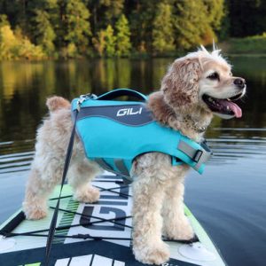 Dog Life Jacket (PFD) - Image 5