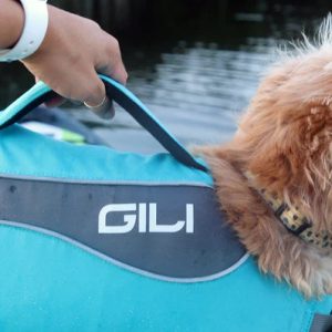 Dog Life Jacket (PFD) - Image 4