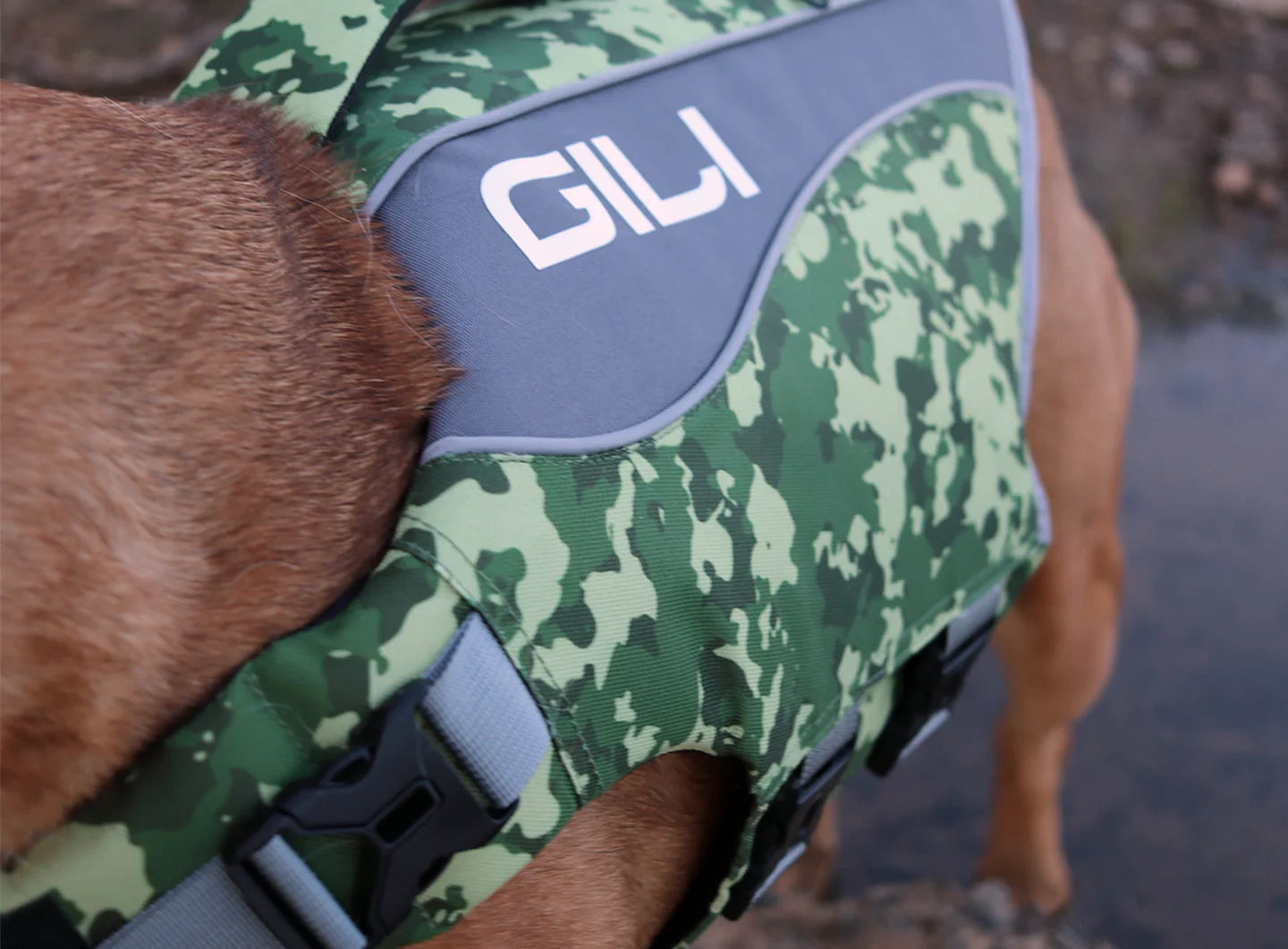 Dog Life Jacket (PFD) - Image 6