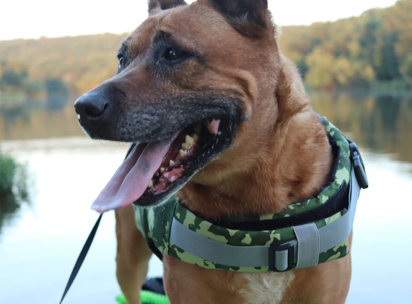 Dog Life Jacket (PFD) - Image 7