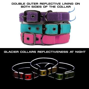 Glacier Dog Collar - Image 7