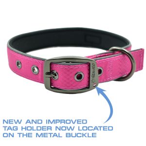 Glacier Dog Collar - Image 3