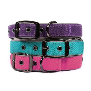 Glacier Dog Collar - Image 1