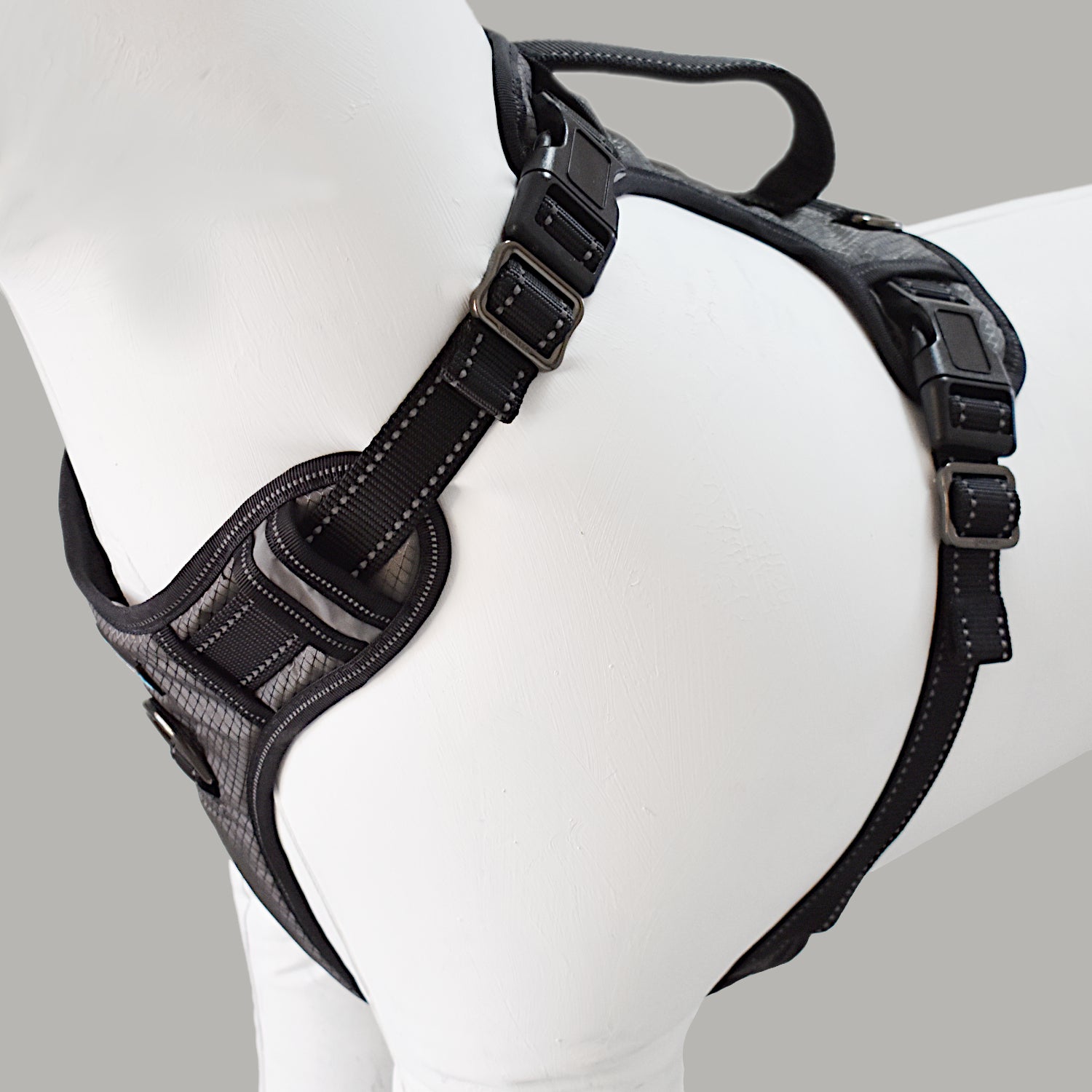 Gunnison Dog Harness - Image 2